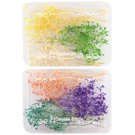 Mini Breath Gypsophila Dried Flowers Galore Light Color 6 Color Set