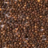 McCormick Whole Black Peppercorns, 7 oz