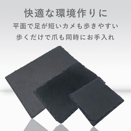 Allbright Reptile Board, Flooring Material, Turtle, Drying Tortoise, Food Plate, Bait Stand, Aquarium, Rearing Case, Nail Polishing, Heat Retention, Moisturizing, Rock (3.9 x 5.9 inches (10 x 15 cm)