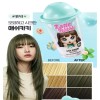 Elastine 엘라스틴 라떼버블 컬러염색 애쉬카키 x 3개 / 간편 염색
