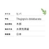 Natural Hiba Oil Produced in Aomori Prefecture, 3.4 fl oz