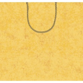 Entertaining with Caspari 5 by 4-1/2 by 5-Inch Cube Gift Bag, Small, Antique Gold