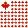 Dhjkko 100pcs Canada Souvenirs Flag Pins, Canadian Souvenirs Maple Leaf