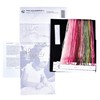 Thea Gouverneur On Aida Counted Cross Stich Kit 17.5"X17.5"-Rosa Leersum