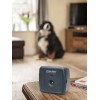 First Alert Bark Genie Automatic Bark Control Device