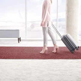 Consolidated Plastics Brush Dry Indoor/Covered Outdoor Entrance Floor Mat, 3' Width x 4' Length, Red