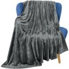 Utopia Bedding Fleece Blanket Throw Size [Grey, 60x50 Inch] -