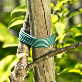 Windhager 73565 Plastic Cord Grows with Your Child for Attaching Plants to Trellis or Stakes, Green, 23 m, Diameter 3 mm