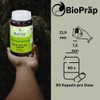 BioPräp Red Rice Organic Capsules 90 Cellulose Capsules
