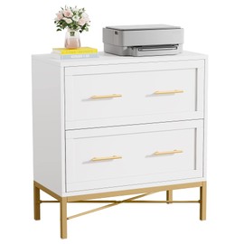 LITTLE TREE Modern 2 Drawer File Cabinet, Large Storage Cabinets Printer Stand for Home Office, White