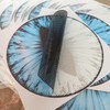 Vyqloren Beast Eyes Headlight Decals, 3D Round Stickers and Decals