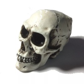BawdyPartz  Skull Cue Chalker Pool Billiards Pocket Holder Chalk Stick 30-Ch Made in USA