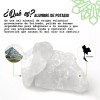 Vital Green Bloque Alumbre Para Afeitado 90gr (paq 2 Unds)