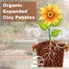 Riare 4 LBS Organic Expanded Clay Pebbles for Plants- 4mm-16mm