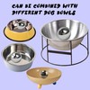 SUS304 Stainless Steel Dog Food Slow Feeder Ball - Slows