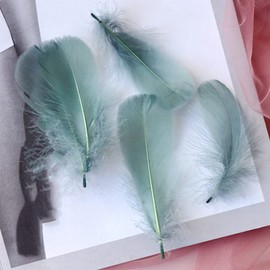 100Pcs Gray Green Natural Dyed Goose Feathers, 3-5Inch Craft Feathers Assorted Colors Feathers for Hat DIY Craft Wedding Party Birthday Clothing Decorations