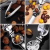 STFYUG Chestnut Cutter, Chestnut Cutter, Chestnut Opener, Stainless Steel Chestnut
