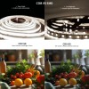 High Quality 24V 6500K COB Smart LED Strip Kit ETL