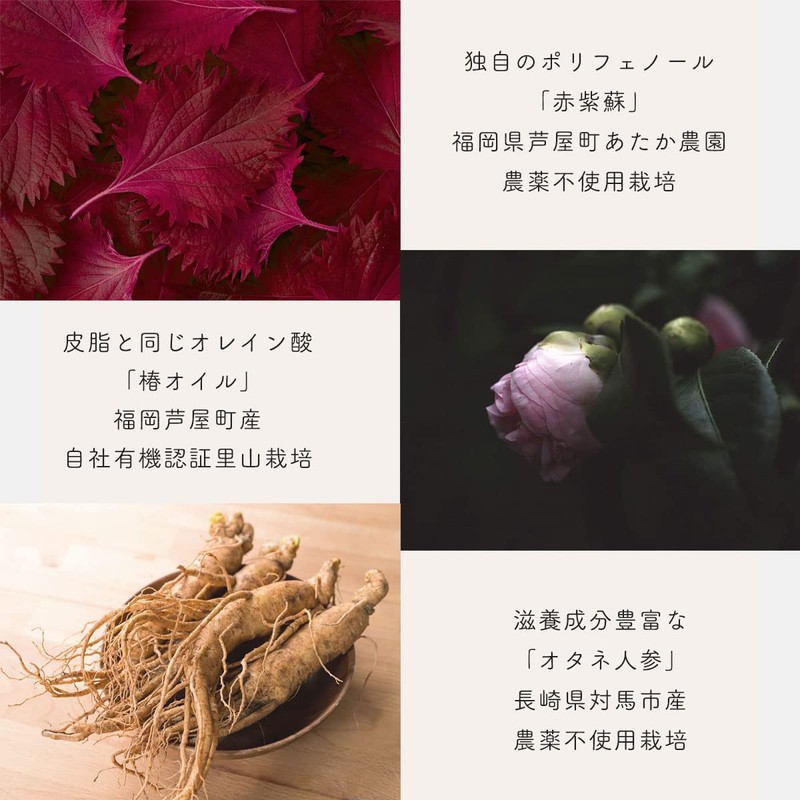 Shizuju Skin Remedy Complete Shampoo 10.1 fl oz (300 ml)