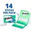 Trident Minty Sweet Twist Sugar-Free Chewing Gum, 12 Packs of