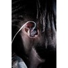 Shure SE215 PRO Wired Earbuds, Professional Sound Isolating Earphones with