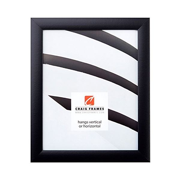 Craig Frames 1WB3BK 13 by 22-Inch Picture Frame, Smooth Finish,