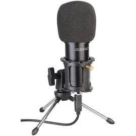auvisio Microphone: Set of 2 Professional USB Condenser Microphones, High-Performance, Mini Tripod (External Microphone, Desktop Microphone, Laptop Table)