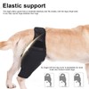 PARFCO Leckschutz Hund Hinterbein, Hunde Kniebandage Hinterbein für Vorder und
