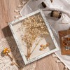 Califortree Outside 8x10 Shadow Box Frame with Linen Back -