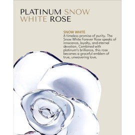 Forever Rose Real Snow White Rose with Platinum Trimmed Petals and Platinum Stem, Handcrafted Preserved Rose in Luxury Gold Gift Box, Romantic Gift for Her, Elegant Gift for Any Occasion