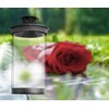 Lantern on pole, 15 cm high, 8 cm diameter, garden