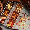 6 Grid Fall Maple Leaf Glitter Sequins Nail Accessories Thanksgiving