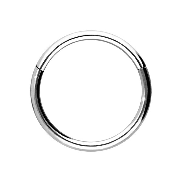 PIERCINGLINE Titanium Segment Ring Clicker, Piercing for Nose, Septum, Ear,