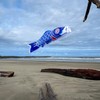 In the Breeze Koi Fish Windsock, 24-Inch, Blue,4780