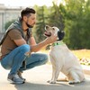 BuFan Orejeras para Perros - Protección Auditiva Ajustable, Reducción de