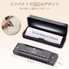 Harmonica Diatonic 10 Holes C Tone Beginner Advanced Airtight Blue