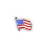 Small American Flag Pin (1 Pin)
