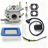 Hutdkte PB-580T Carburetor for Echo PB580T PB-580H PB580 Backpack Blower