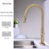 Brass Gold Kitchen Faucet with Pull Down Sprayer, Single Handle,