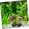 GRIRIW 2Pcs Durable Plastic Aquarium Decorations Betta Leaf Pad Hammock
