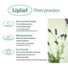 LIPLIEF Steaming Lip Balm Holika Korean Vegan Lip Care Colorless