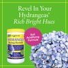 Grow More Hydrangea Blueing Formula - 2lbs of USA-Made Soil