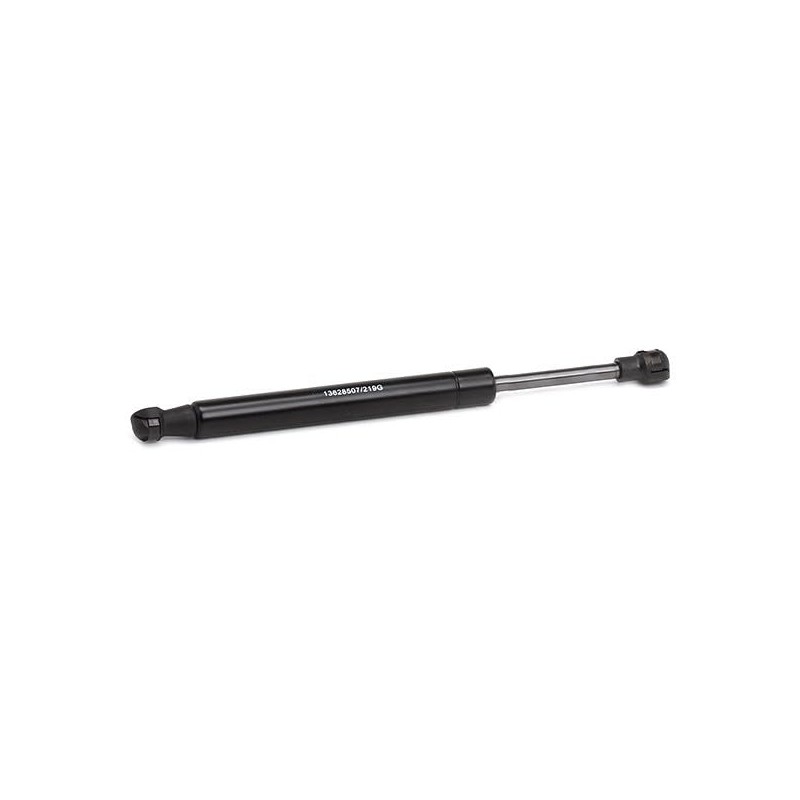 RIDEX Tailgate Damper 219G0645 Double-Sided Rear Length 256 mm Extension