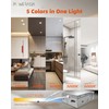 12 Pack Recessed Lighting 4 Inch with Junction Box, 5CCT