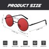 CGID Retro Round Polarized Sunglasses for Men Women Circle Metal