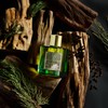 COCORRÍNA Reed Diffuser - Redwood National Park 6.7 Fl.oz Reed