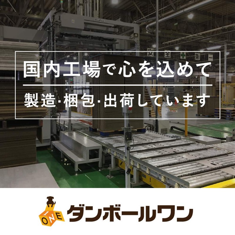 Cardboard One (50 Size) Standard Cardboard Box (Small, 240 Sheets)