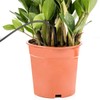 50 x Garden Watering Automatic Drip System 405 Maxi Dripper