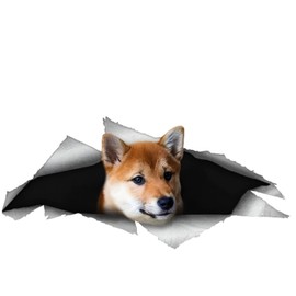 Shiba Inu Car Sticker 15 cm (5.9 Inch) Shiba Inu Car Sticker 3D Ripped Reflective Car Sticker Waterproof Pet Dog Funny Sticker Laptop Bumper Rear Window Decor