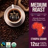 Twiga Coffee Premium Ethiopian Sidamo Whole Bean Coffee – Organic